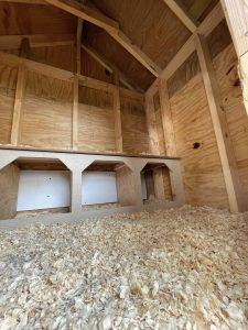 503599848 122106219842895488 2429247458575803781 N