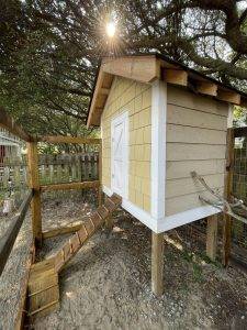 504371574 122106219782895488 5359454105972607477 N